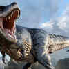Tyrannosaurus Rex