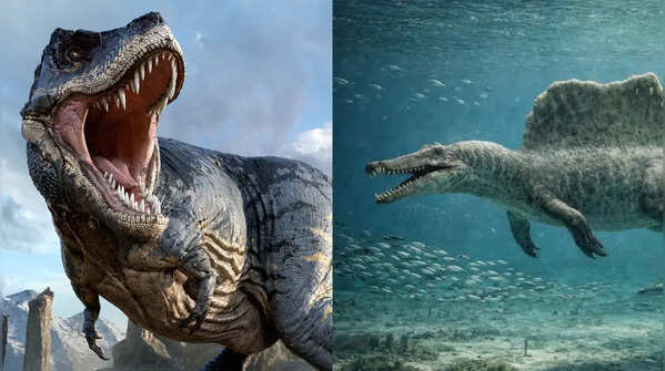 From T. Rex to Spinosaurus: Meet the most terrifying dinosaurs to ever walk the earth, dominating the prehistoric world with unmatched size, strength, and hunting power