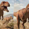 Allosaurus