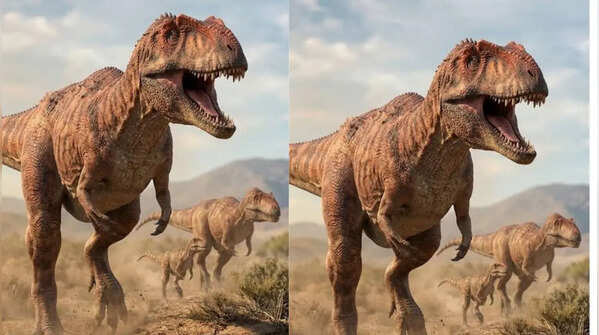 Allosaurus