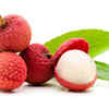 Shahi Litchi