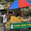Article image for: Mango prices ease in Jaipur as supply rises, more varieties to arrive next week