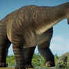 Reasons for Nigersaurus being an exceptional dinosaur