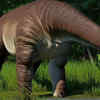 Discovery of Nigersaurus in the Sahara Desert