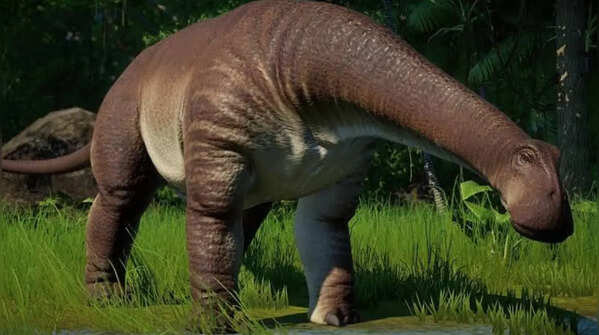 Discovery of Nigersaurus in the Sahara Desert
