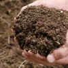 Turn the compost regularly
