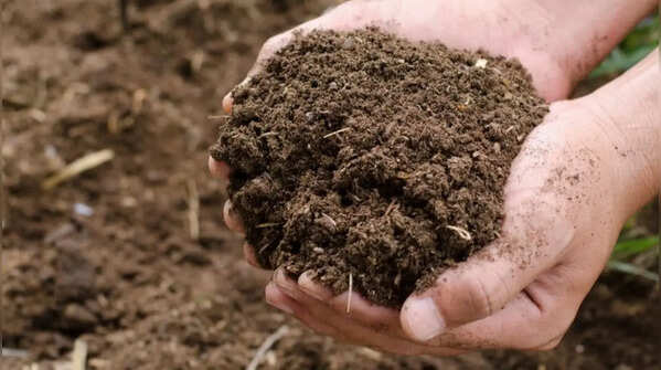 Turn the compost regularly