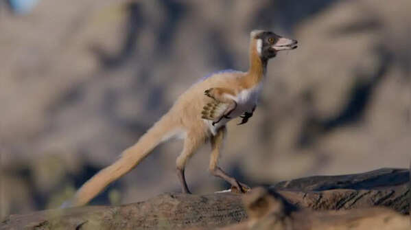 Not just giants: Fossil of the smallest dinosaur, about the size of a crow, found