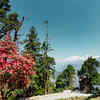 Chopta, Uttarakhand