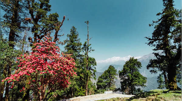 Chopta, Uttarakhand