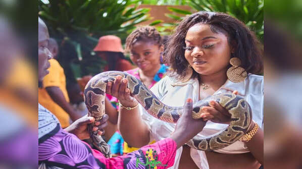 Python Festival, Benin