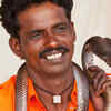 Manasa Puja, India
