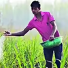 Article image for: Centre floats second global tender for 70 lakh tonne urea despite surge in prices