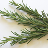 Rosemary