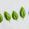 Basil