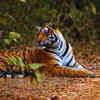 Ranthambore National Park, Rajasthan