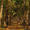 Dudhwa National Park, Uttar Pradesh