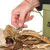 Check stored seeds from time to time