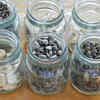 Store seeds in airtight containers