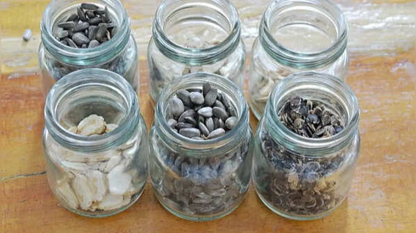Store seeds in airtight containers
