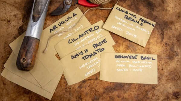 Label each seed packet