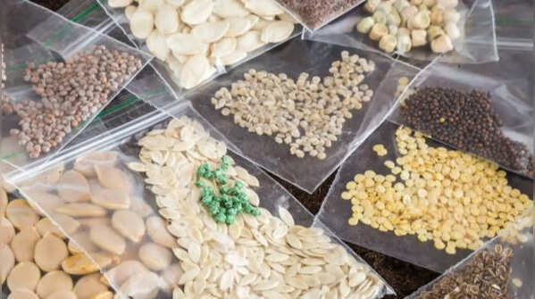 Ensure that seeds are absolutely dry