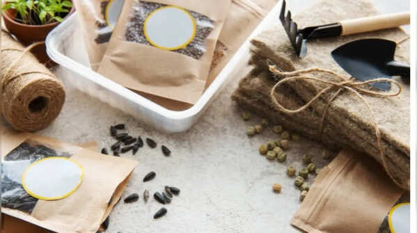 How to store plant seeds carefully: 6 simple tips to keep them viable for years