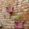 Decorating outdoor spaces using flower pots