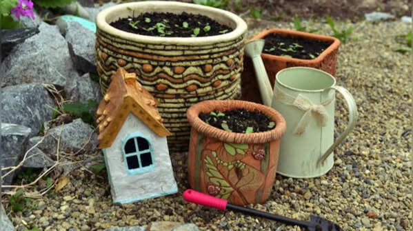 Building a fairy garden