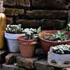 Using flower pots to store gardening items