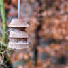 Creating bird feeding stations