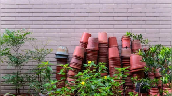 From bird feeders to herb gardens: 7 ways to repurpose old flower pots