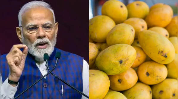 Role of farmers in making Indian mangoes global