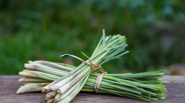 Lemongrass