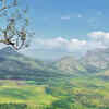 Palani Hills