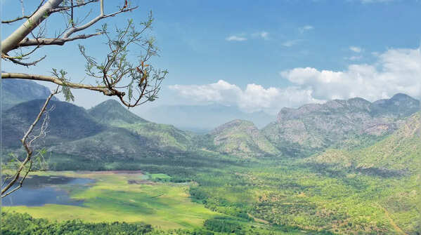 Palani Hills