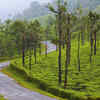 Anamalai Hills