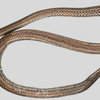 Meet the ‘two-headed snake’ from China