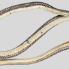 Only two specimens were found