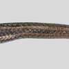 What does its name mean