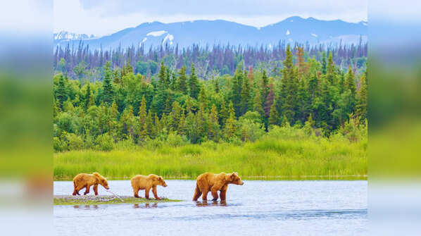Katmai National Park and Preserve