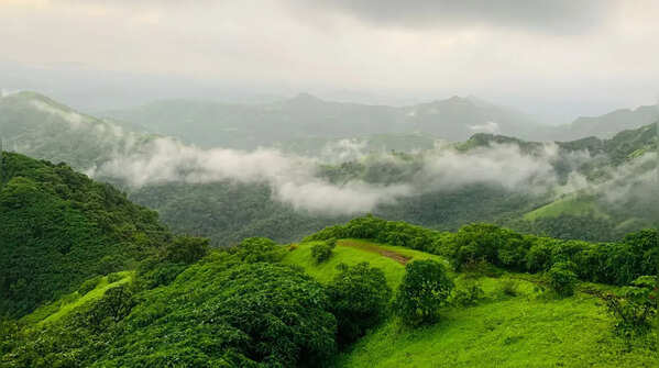 Bhimashankar Wildlife Sanctuary, Maharashtra