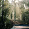 Dumas Beach Forest Edge, Gujarat