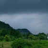 Dow Hill Forest, Kurseong, West Bengal