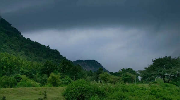 Dow Hill Forest, Kurseong, West Bengal