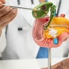 Article image for: Most people miss the signs until it’s too late: What makes pancreatic cancer so difficult to detect