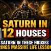 Article image for: Your Biggest Karmic Debt Decoded: Saturn in 12 Houses | Ft. Dr. Shanker Adawal