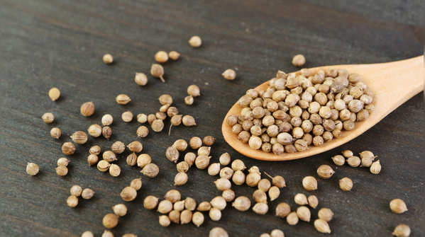 Coriander Seeds (Dhania)