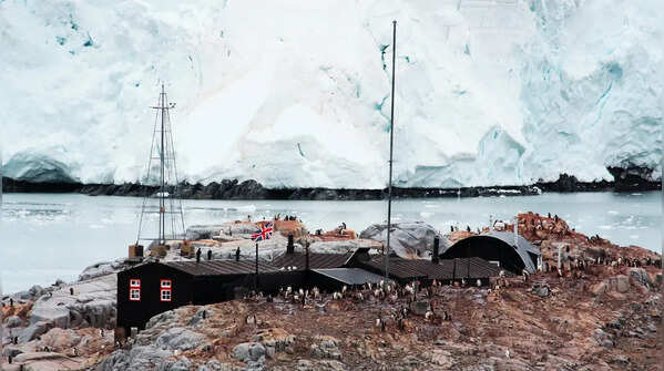 Antarctica: Penguin posts and more