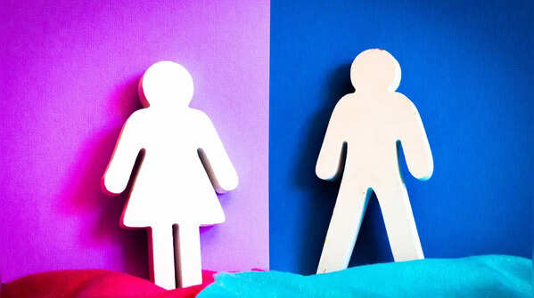 Traditional gender roles are slowly changing